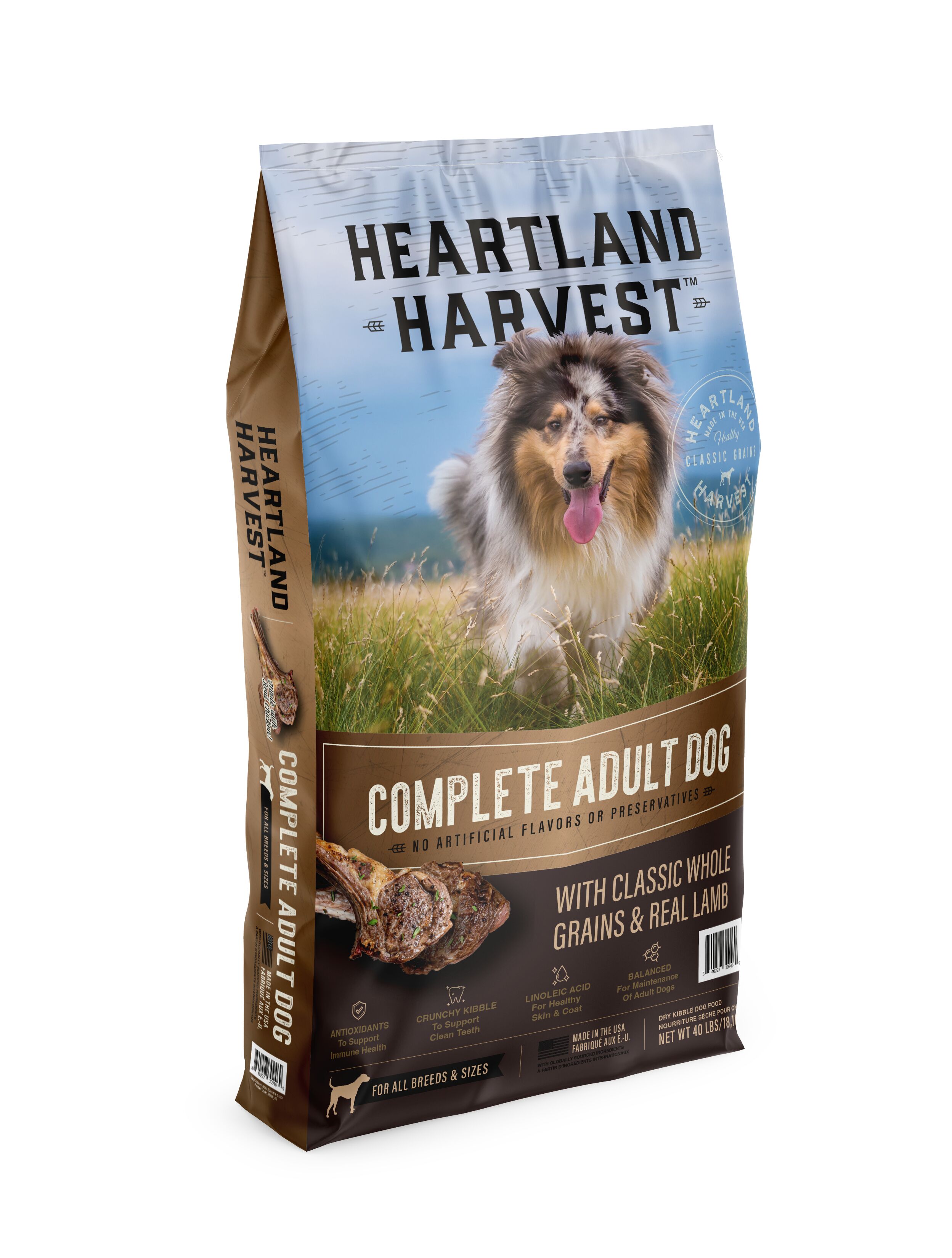 Is Theisens Dog Friendly: A Pet Owner's Guide