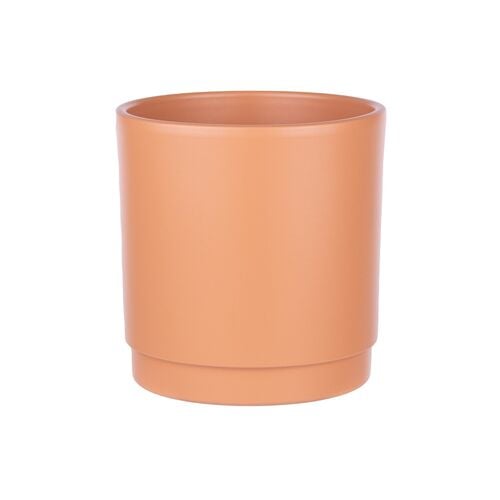Charleston Planter