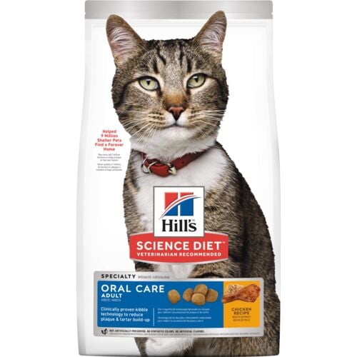 Adult Oral Care Chicken Recipe Cat Food