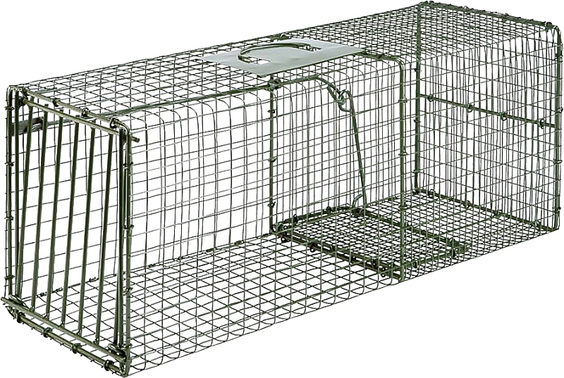 Cage Trap