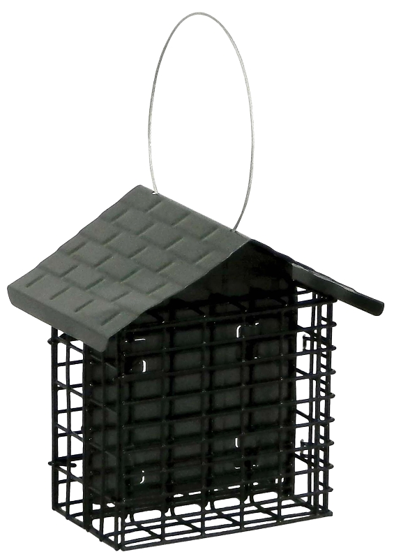 Suet Buffet Bird Feeder