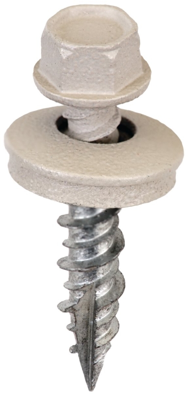Screw