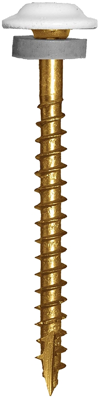 Cabinet Screw