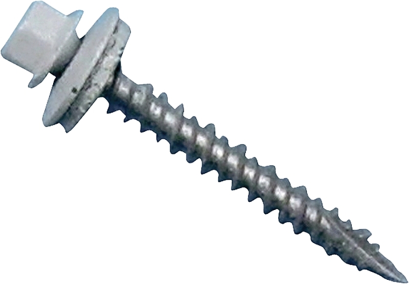 Screw