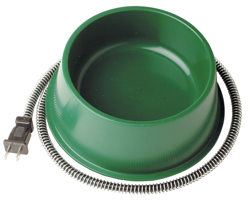 Pet Bowl