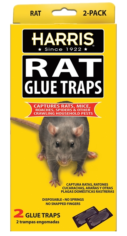 Rat Glue Trap