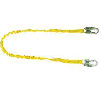 Lanyard