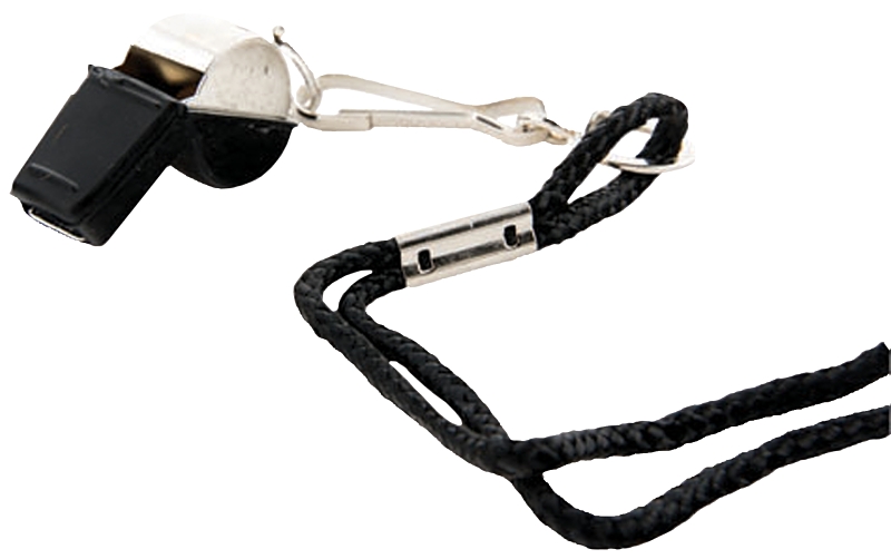 Whistle
