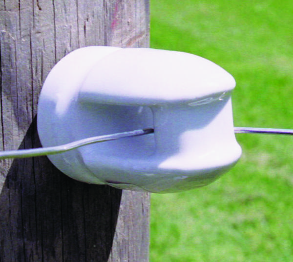 Wp1929 Large Lag Screw Insulator