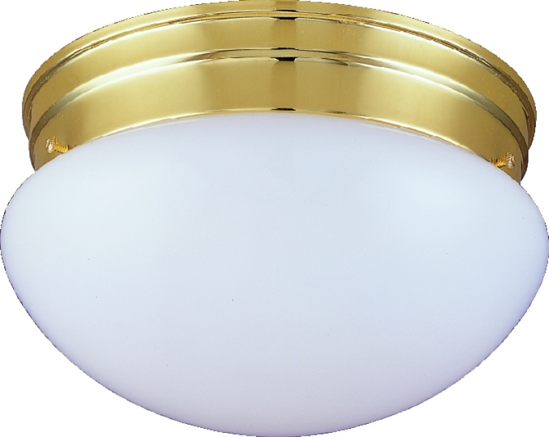 Two Light Round Ceiling Fixture
