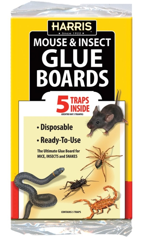Glue Board - Pack of 5