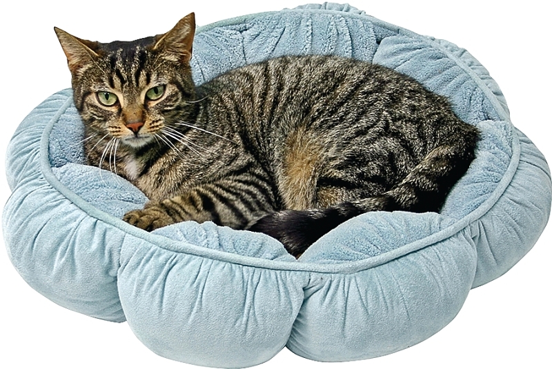 Pillow Pet Bed