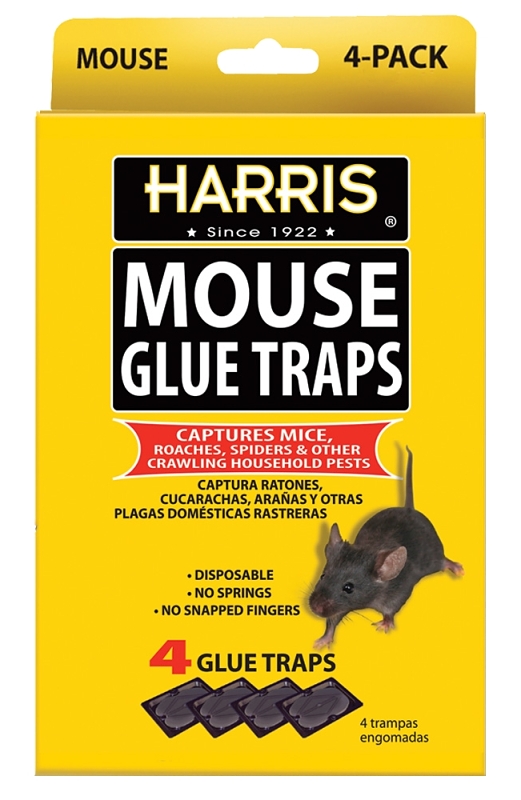 Mouse Glue Trap