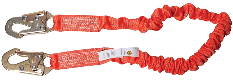 Lanyard