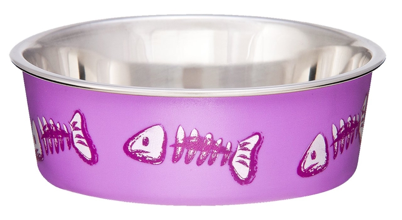 Cat Bowl