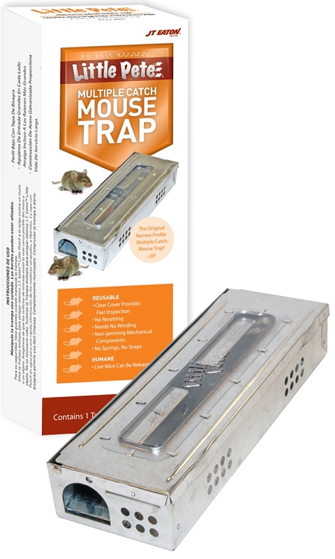 Mouse Trap
