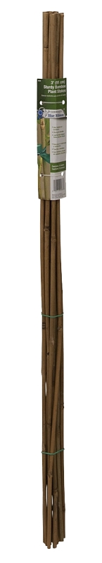 Bb3 Plant Stake - Pack of 12