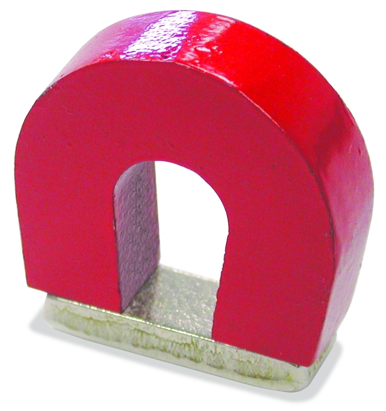 Horseshoe Magnet