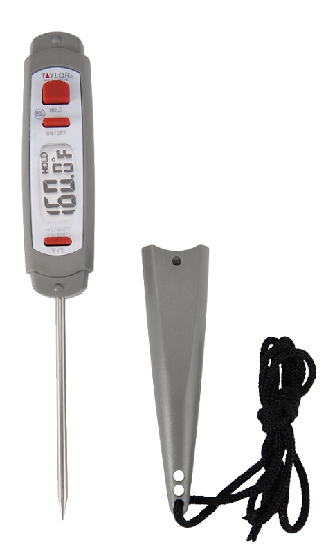 Rapid Response Thermometer