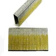 Crown Staple