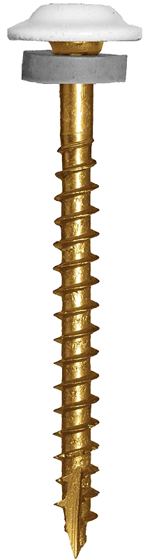 Screw