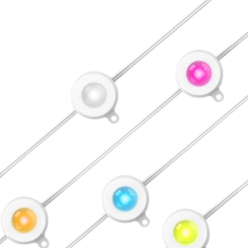 Permanent Light
