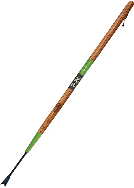 Forged Dandelion Weeder
