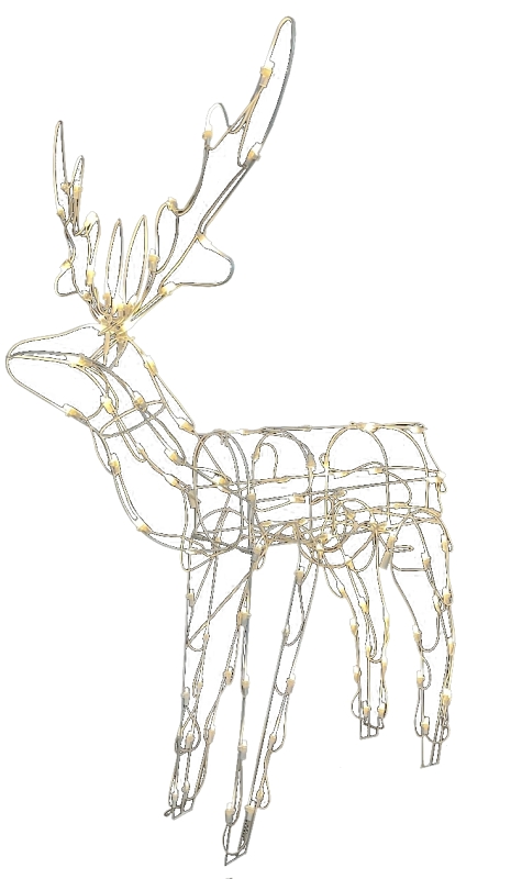 Standing Buck