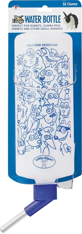 Water Bottle