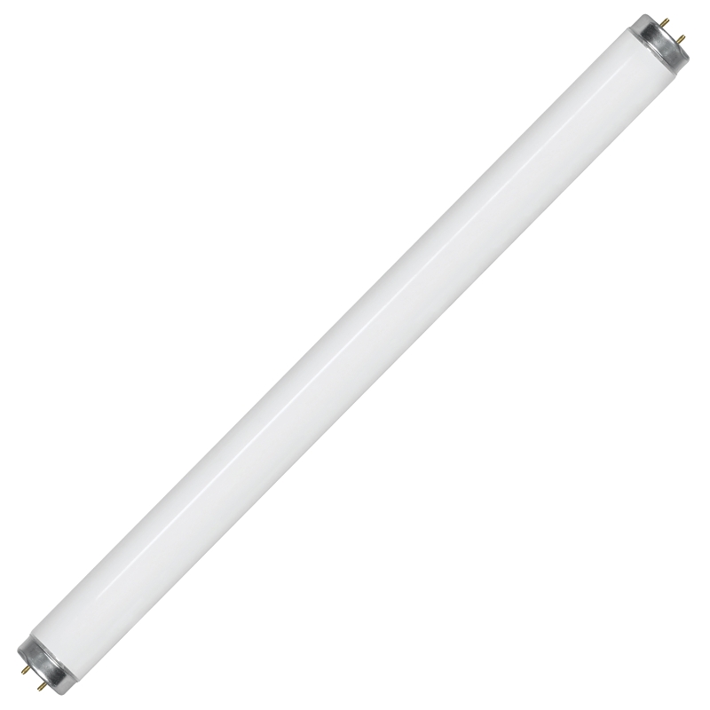 Bulb