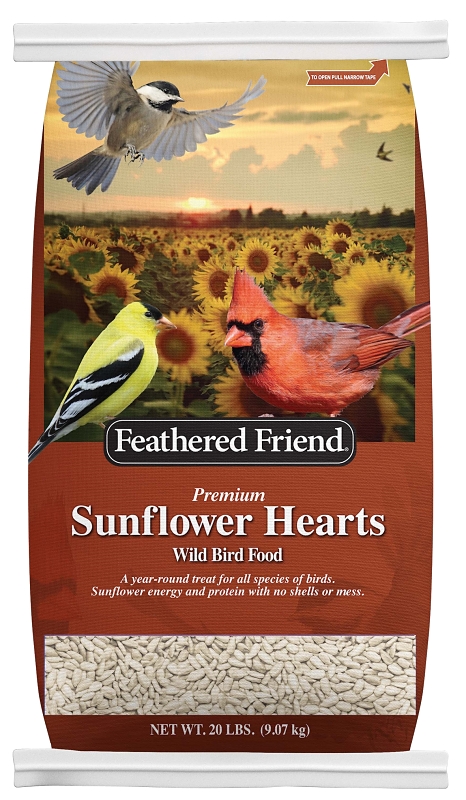 Wild Bird Food