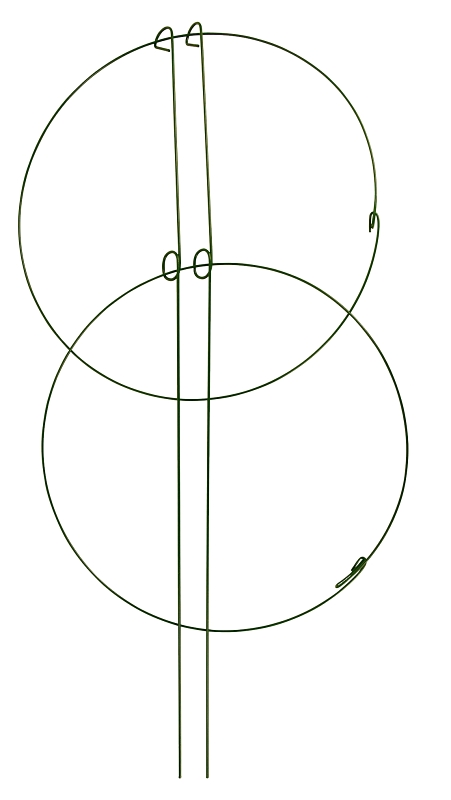 Ring Support