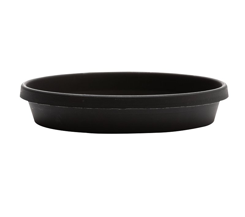 Terra Stt0800 Plant Saucer