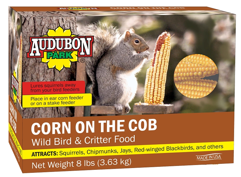 Squirrel Food