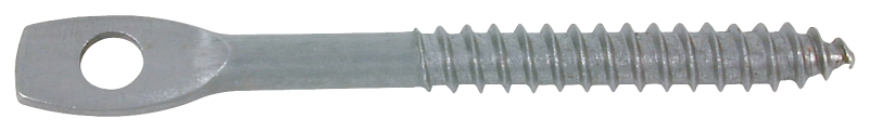 Eye Lag Screw