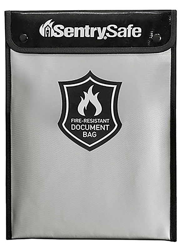 Document Bag