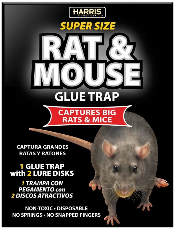 Rat And Mouse Glue Trap