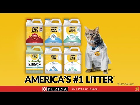 Tidy Cats Non-Clumping 24/7 Performance Cat Litter