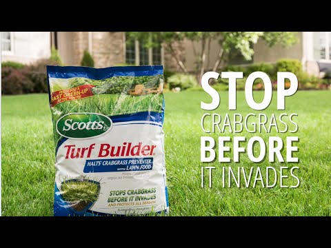 Turf Builder Halts Crabgrass Preventer with Lawn Food