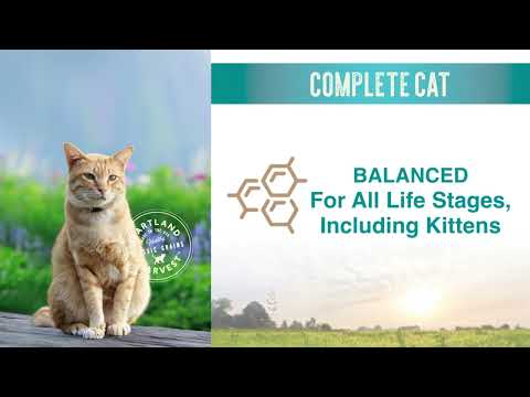 Complete Cat with Classic Whole Grains Real Chicken & Fish Dry Cat Food