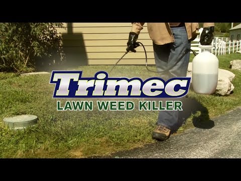 Trimec Lawn Weed Killer