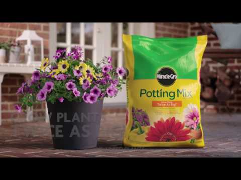 Potting Mix
