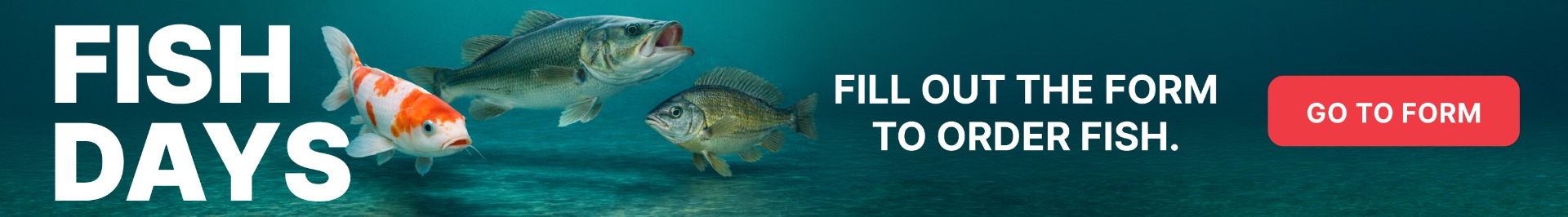 order fish