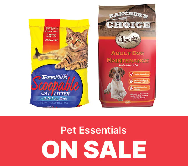 stock up on pet essentials