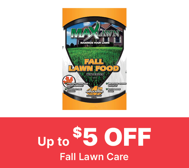 get started on fall lawn and garden