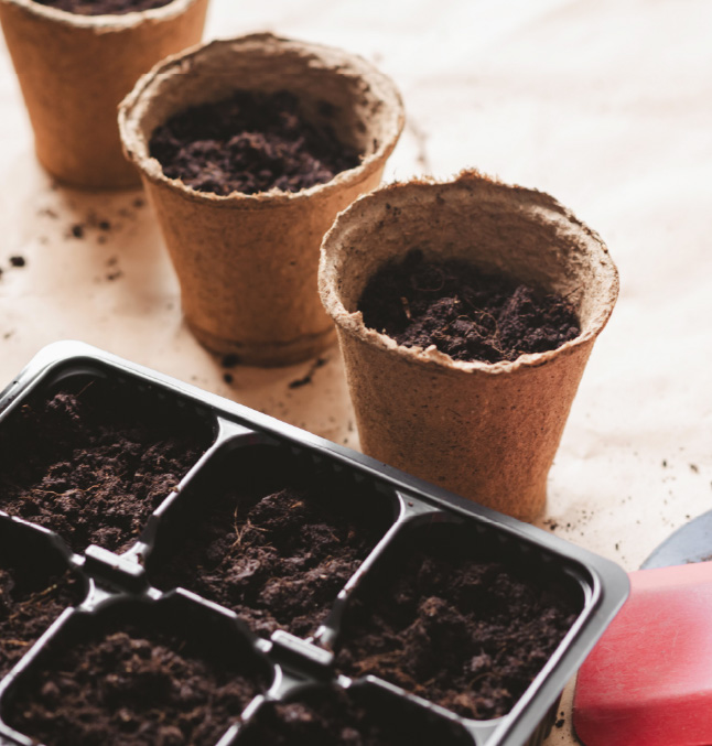 seed starting pots
