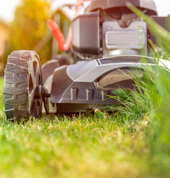 lawn mower cutting
