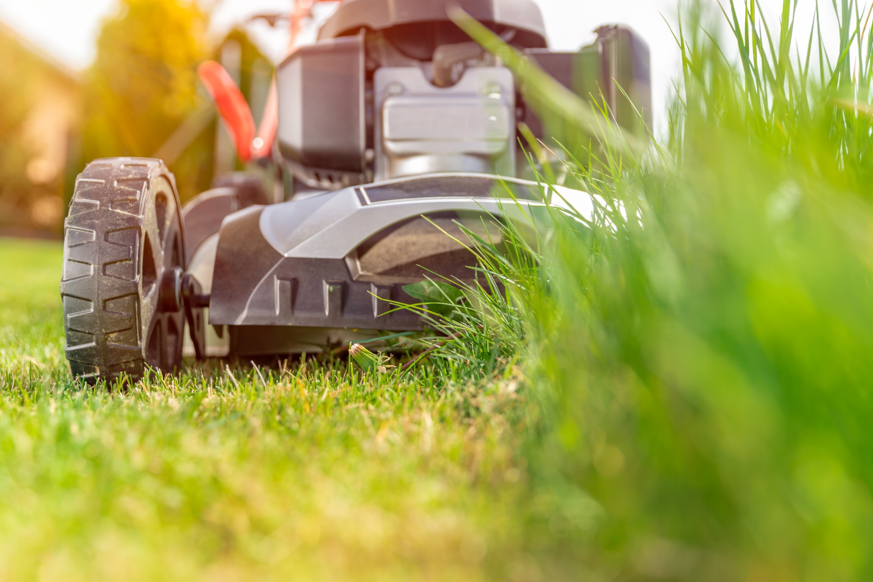 spring lawn mower