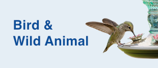 Bird & Wild Animal