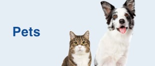 Pets
